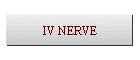 IV NERVE