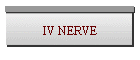 IV NERVE