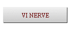 VI NERVE