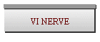 VI NERVE