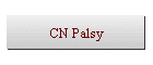 CN Palsy