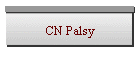 CN Palsy