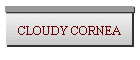 CLOUDY CORNEA