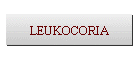 LEUKOCORIA
