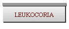 LEUKOCORIA