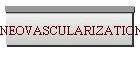 NEOVASCULARIZATION