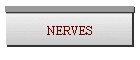 NERVES